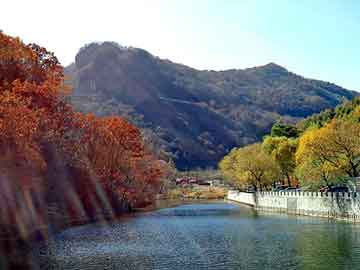 luyituifei 第10頁