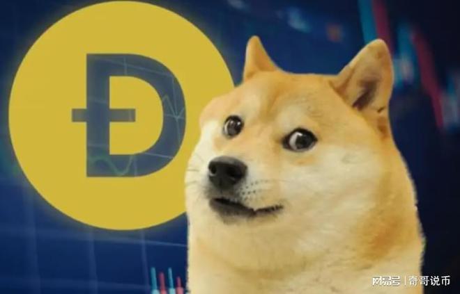 狗狗幣今日行情概覽，最新價格走勢分析