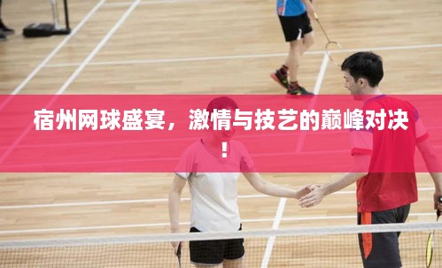 宿州網球盛宴，激情與技藝的巔峰對決！