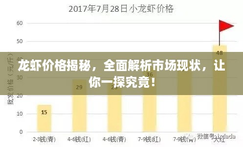龍蝦價格揭秘，全面解析市場現(xiàn)狀，讓你一探究竟！