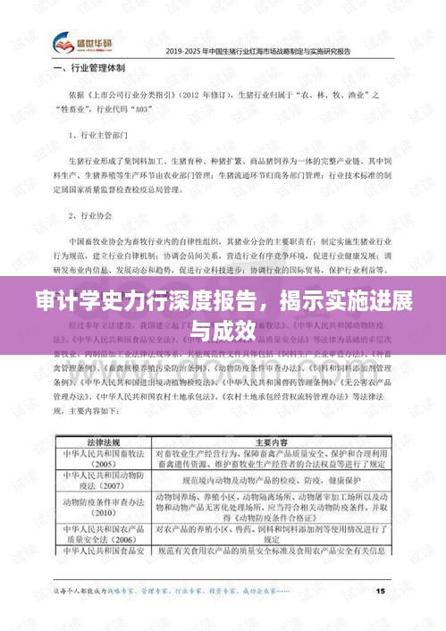 審計(jì)學(xué)史力行深度報(bào)告，揭示實(shí)施進(jìn)展與成效