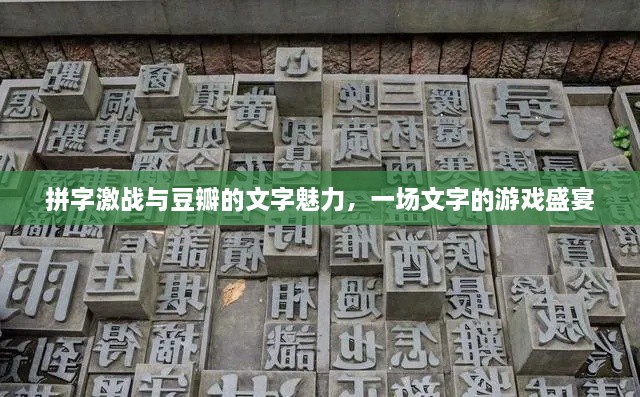 拼字激戰(zhàn)與豆瓣的文字魅力，一場(chǎng)文字的游戲盛宴