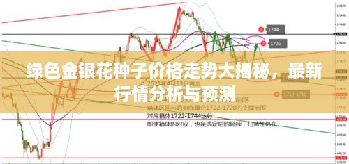綠色金銀花種子價格走勢大揭秘，最新行情分析與預測