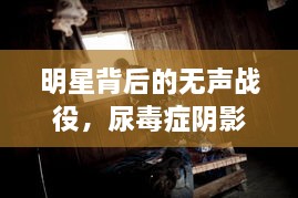 明星背后的無聲戰(zhàn)役，尿毒癥陰影下的星光挑戰(zhàn)