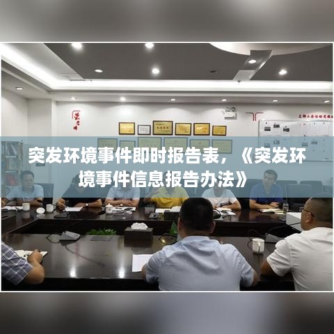 突發(fā)環(huán)境事件即時(shí)報(bào)告表，《突發(fā)環(huán)境事件信息報(bào)告辦法》 