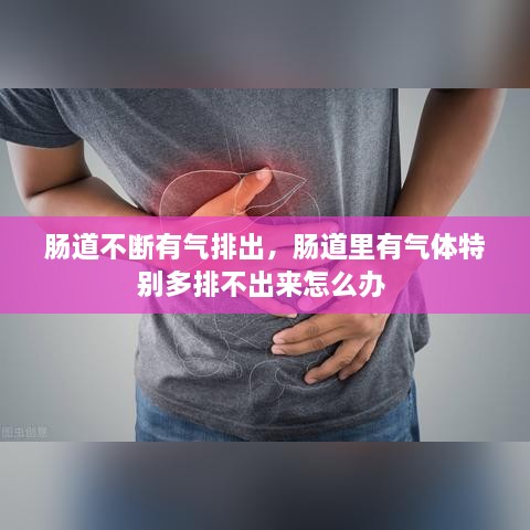 腸道不斷有氣排出，腸道里有氣體特別多排不出來(lái)怎么辦 