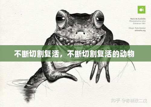 不斷切割復(fù)活，不斷切割復(fù)活的動物 