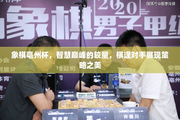 象棋亳州杯，智慧巔峰的較量，棋逢對手展現(xiàn)策略之美