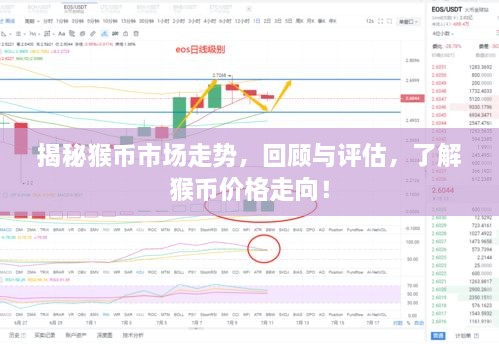 揭秘猴幣市場走勢，回顧與評估，了解猴幣價格走向！
