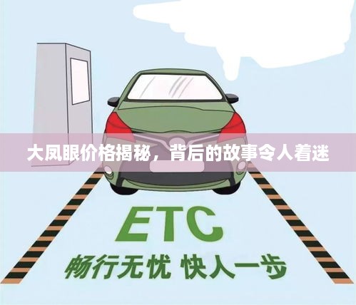 大鳳眼價(jià)格揭秘，背后的故事令人著迷