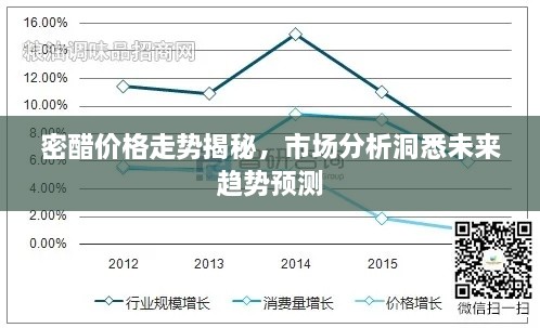 密醋價格走勢揭秘，市場分析洞悉未來趨勢預測
