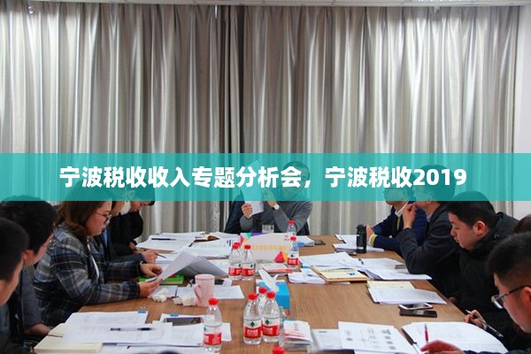 寧波稅收收入專題分析會，寧波稅收2019 