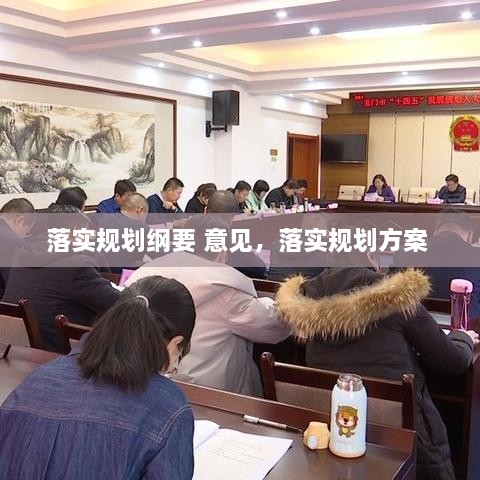 落實(shí)規(guī)劃綱要 意見(jiàn)，落實(shí)規(guī)劃方案 