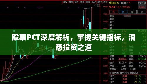股票PCT深度解析，掌握關鍵指標，洞悉投資之道