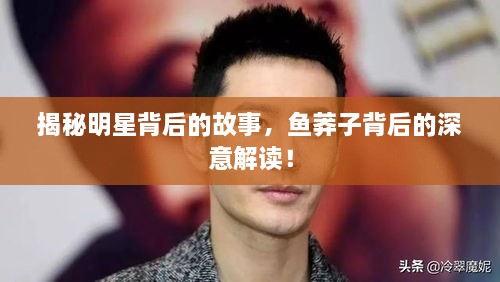 揭秘明星背后的故事，魚莽子背后的深意解讀！