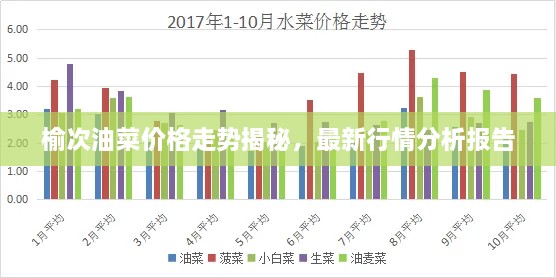 榆次油菜價格走勢揭秘，最新行情分析報告