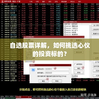 自選股票詳解，如何挑選心儀的投資標(biāo)的？