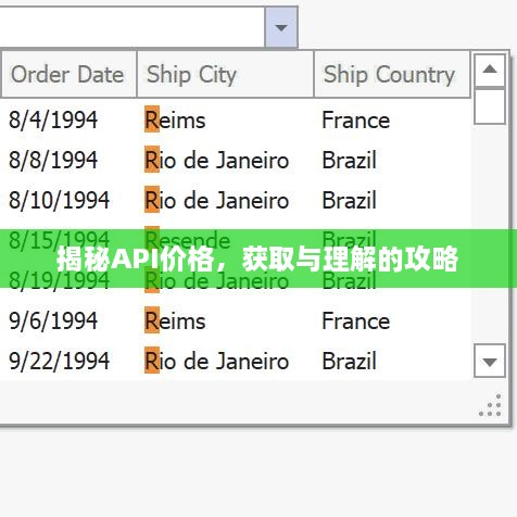 揭秘API價格，獲取與理解的攻略