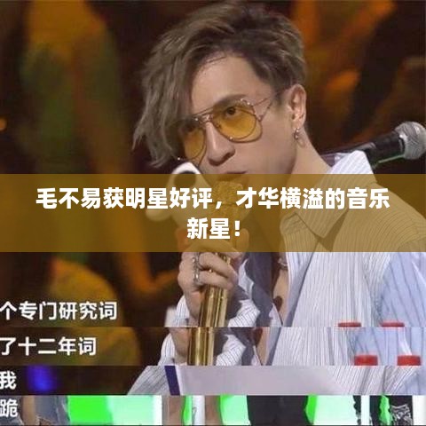 毛不易獲明星好評，才華橫溢的音樂新星！