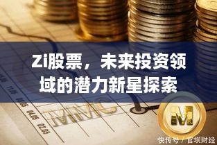 Zi股票，未來投資領(lǐng)域的潛力新星探索