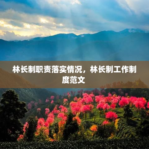 林長制職責落實情況，林長制工作制度范文 