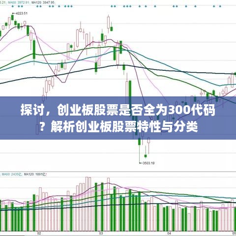 2025年1月4日 第11頁(yè)