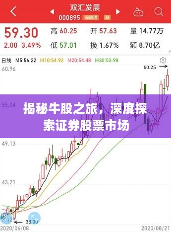 揭秘牛股之旅，深度探索證券股票市場