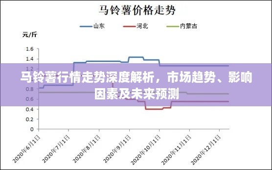 馬鈴薯行情走勢深度解析，市場趨勢、影響因素及未來預(yù)測