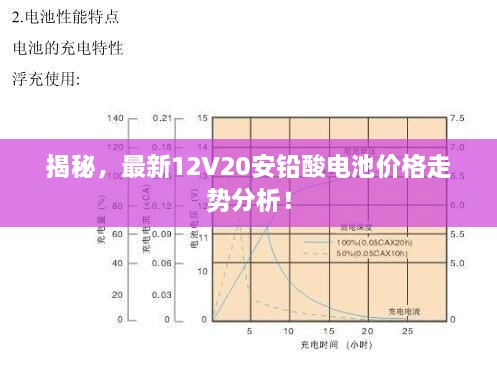 揭秘，最新12V20安鉛酸電池價格走勢分析！