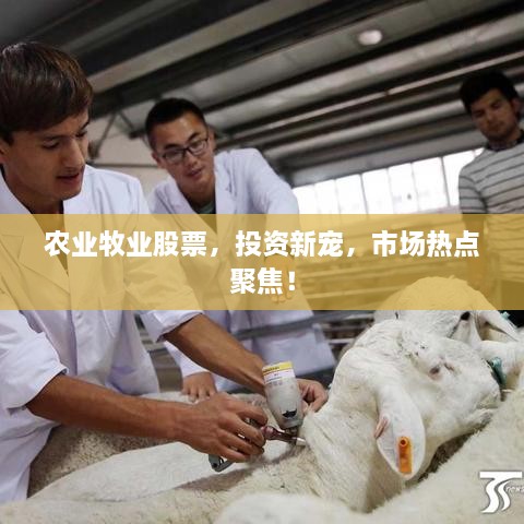農(nóng)業(yè)牧業(yè)股票，投資新寵，市場熱點聚焦！