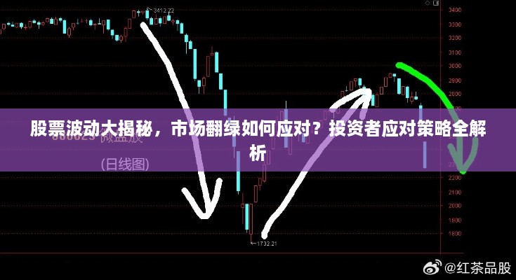 股票波動大揭秘，市場翻綠如何應對？投資者應對策略全解析