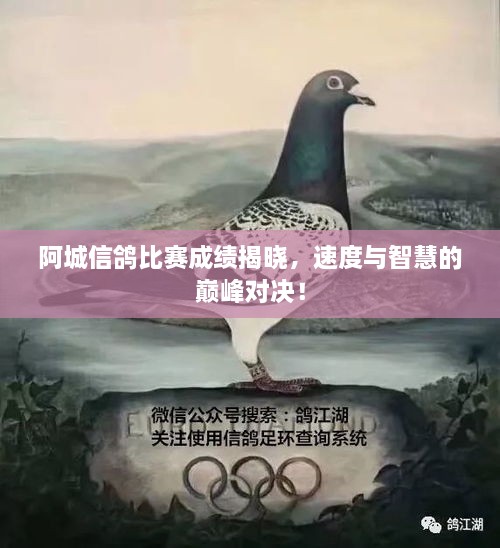 阿城信鴿比賽成績揭曉，速度與智慧的巔峰對(duì)決！