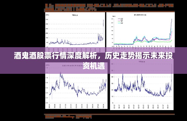酒鬼酒股票行情深度解析，歷史走勢揭示未來投資機遇