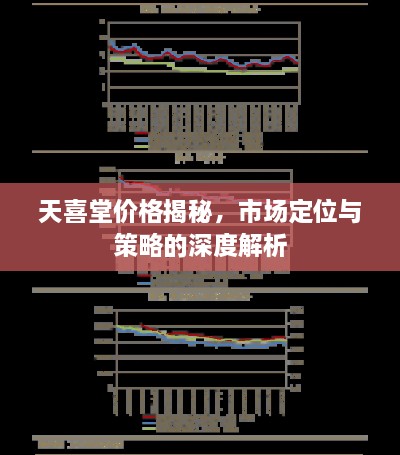天喜堂價格揭秘，市場定位與策略的深度解析