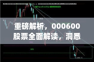 重磅解析，000600股票全面解讀，洞悉投資趨勢！