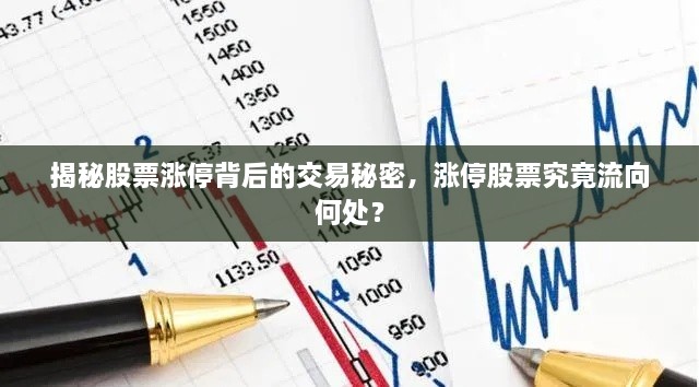 揭秘股票漲停背后的交易秘密，漲停股票究竟流向何處？