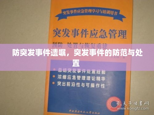 防突發(fā)事件遺囑，突發(fā)事件的防范與處置 