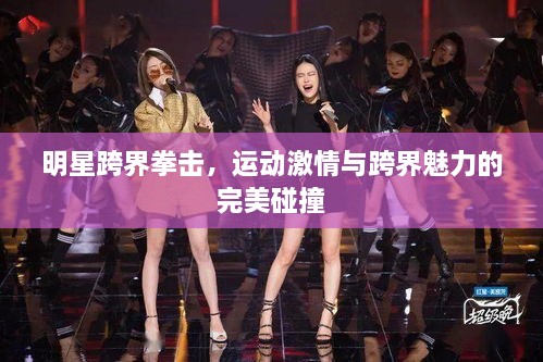 明星跨界拳擊，運(yùn)動(dòng)激情與跨界魅力的完美碰撞