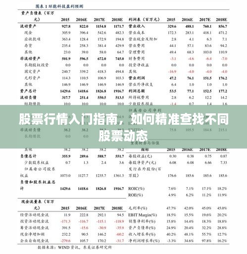 股票行情入門指南，如何精準(zhǔn)查找不同股票動(dòng)態(tài)
