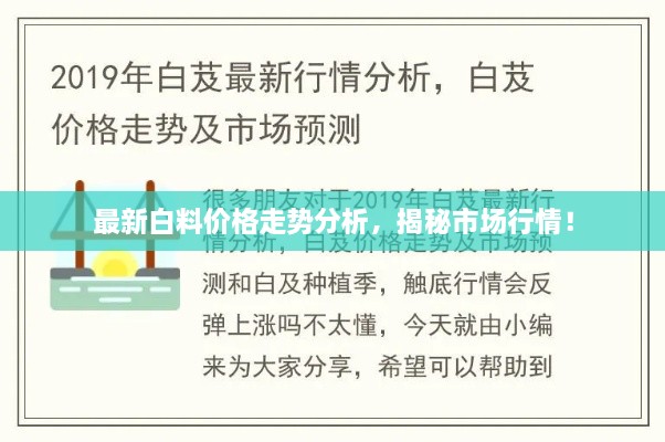 最新白料價(jià)格走勢分析，揭秘市場行情！