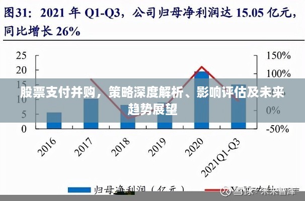 股票支付并購(gòu)，策略深度解析、影響評(píng)估及未來(lái)趨勢(shì)展望