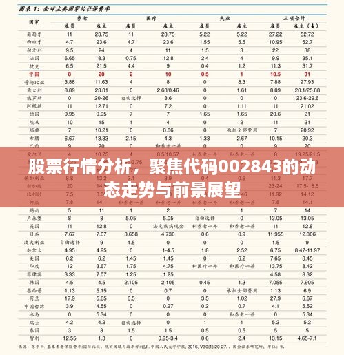 股票行情分析，聚焦代碼002843的動態(tài)走勢與前景展望