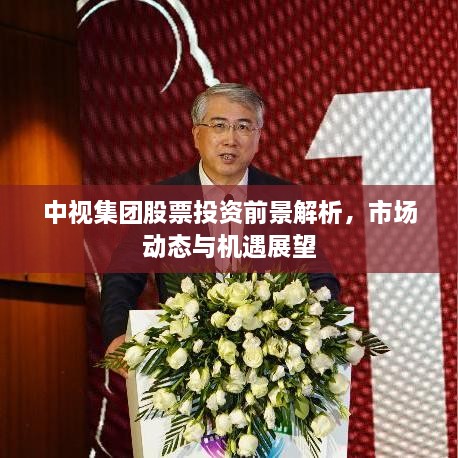 中視集團股票投資前景解析，市場動態(tài)與機遇展望