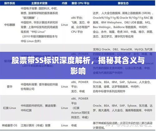 股票帶SS標(biāo)識(shí)深度解析，揭秘其含義與影響