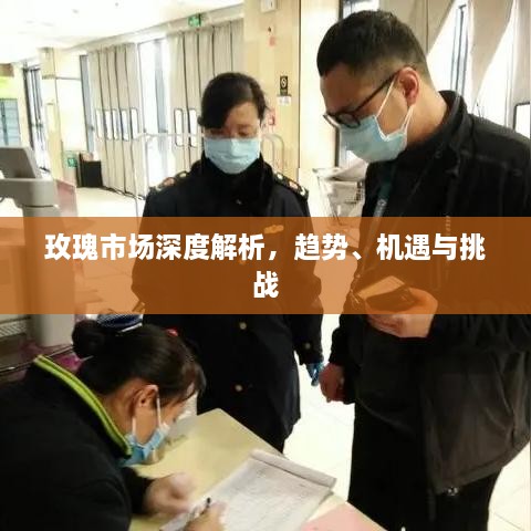 玫瑰市場(chǎng)深度解析，趨勢(shì)、機(jī)遇與挑戰(zhàn)