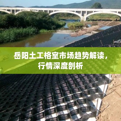 岳陽土工格室市場趨勢解讀，行情深度剖析