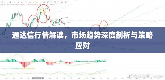 通達信行情解讀，市場趨勢深度剖析與策略應(yīng)對