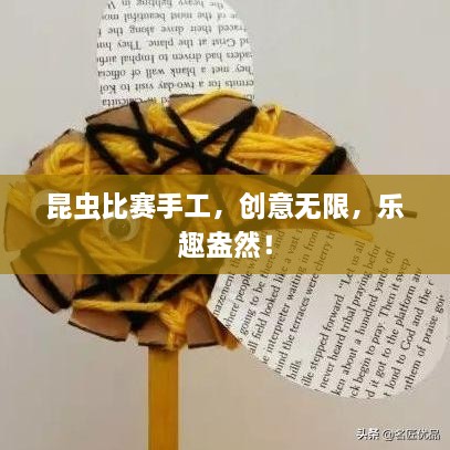 昆蟲(chóng)比賽手工，創(chuàng)意無(wú)限，樂(lè)趣盎然！
