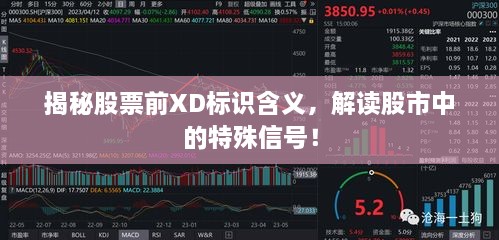 揭秘股票前XD標識含義，解讀股市中的特殊信號！