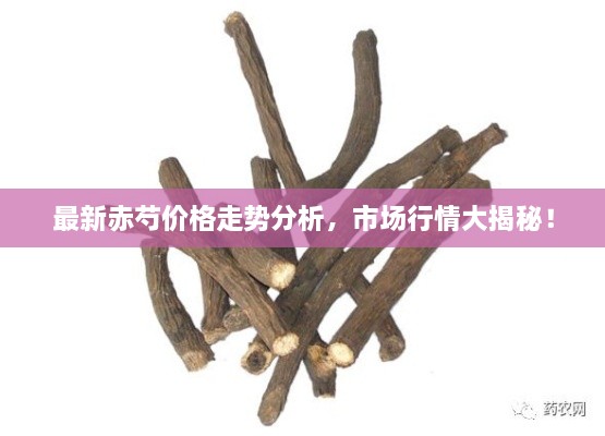 最新赤芍價格走勢分析，市場行情大揭秘！